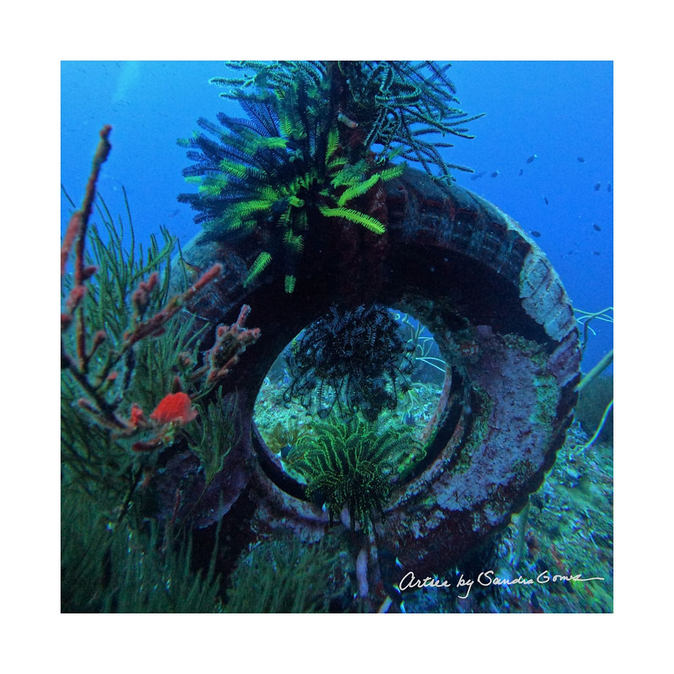 Thumbnail: Tire Reef - Square Poster