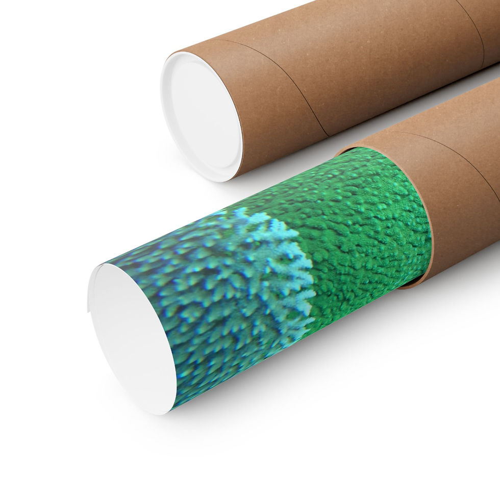Thumbnail: Table Coral - Square Poster
