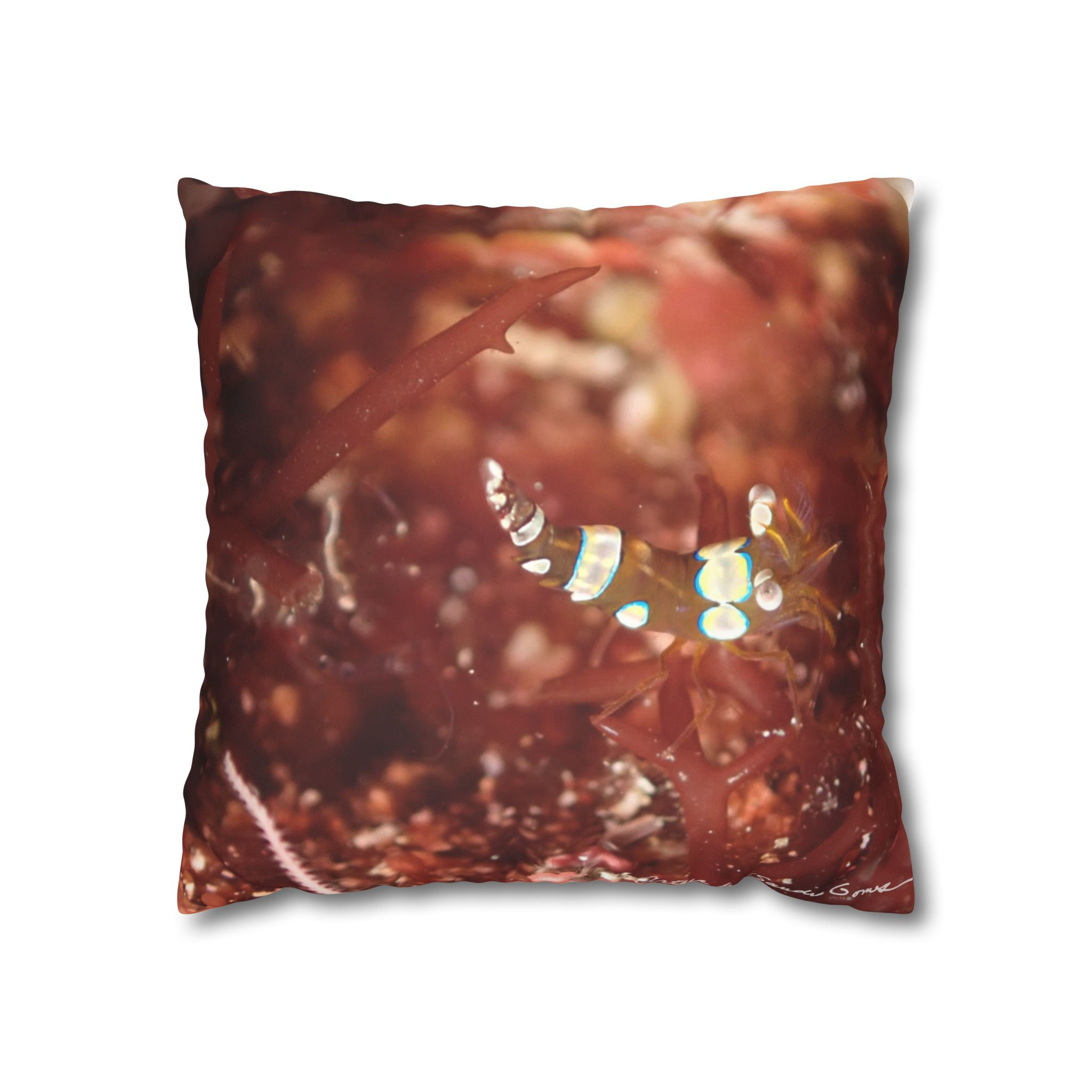 Squat Anemone Shrimp - Pillow Case