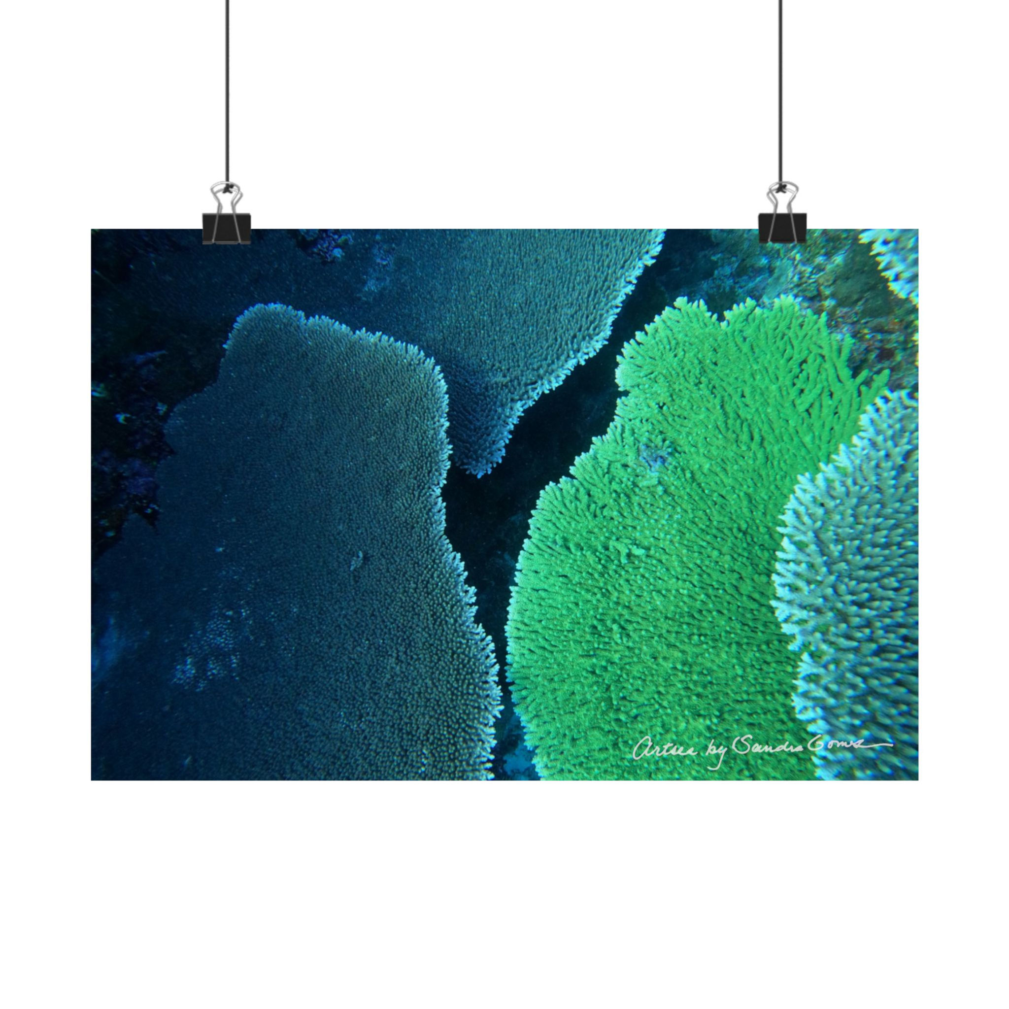 Table Coral - Horizontal Poster