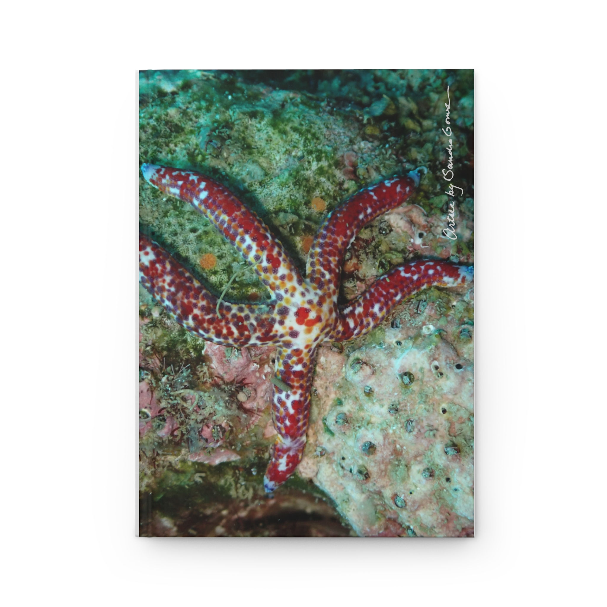 Red Spotted Starfish - Hardcover Journal