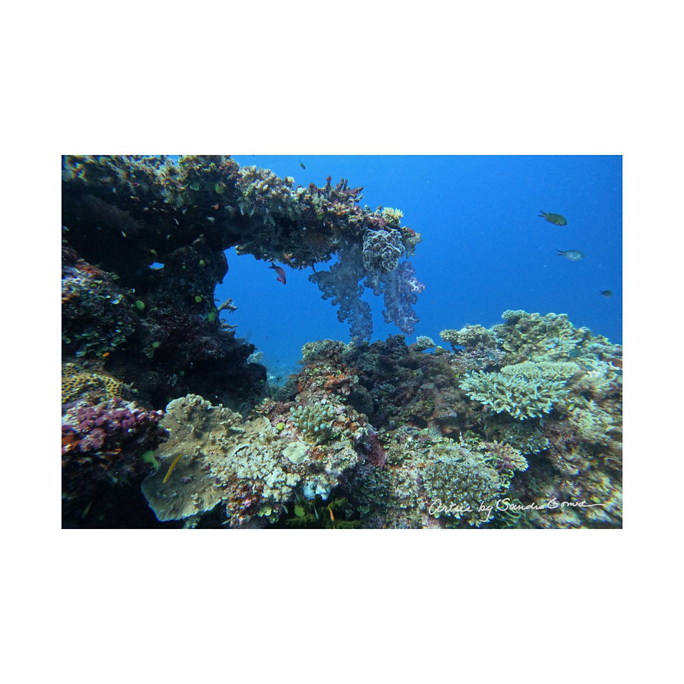 Thumbnail: Reef Archway - Horizontal Poster