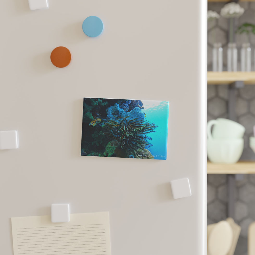 Thumbnail: Feather Star - Magnet