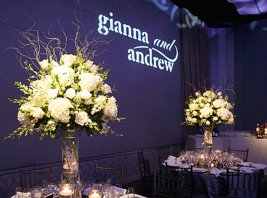 Gobo (1).png