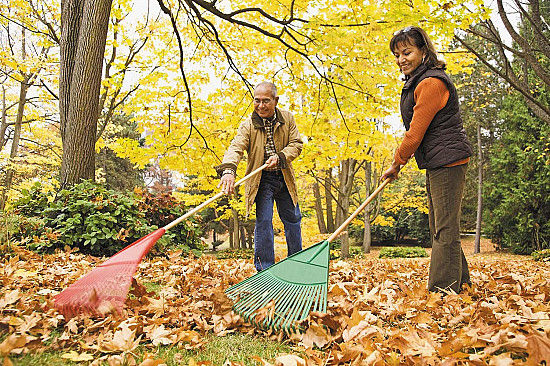 p4-rakingleaves-hh1024-gi88749692-thumb