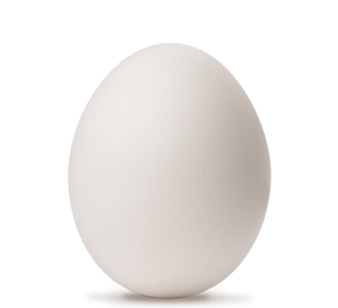 Egg