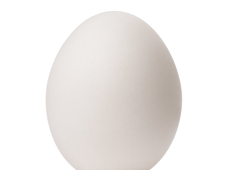 The Importance of Protein