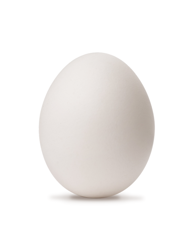 Egg