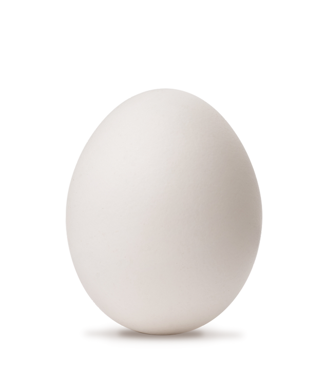 Egg
