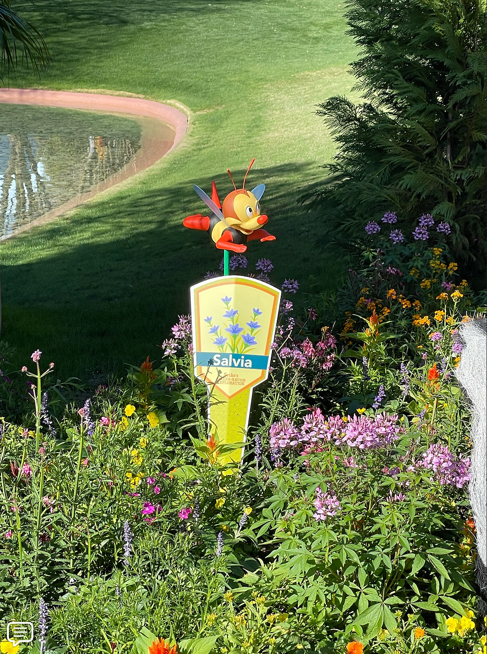 Some thoughts on the Evolution of Digital Care