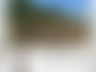 How to Introduce a New Donkey to Your Existing Herd: A Smooth Transition