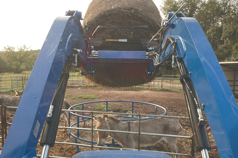 Blue tractor lifting hay bale over donkeys in a pen. Sunny farm setting with trees and metal fences in the background.