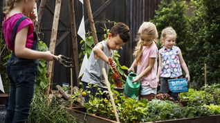 עקרונות ללמידה מייקרית-התנסותית בגיל הרך