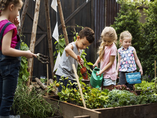 Leadership Parenting: The Garlic Garden Exercise