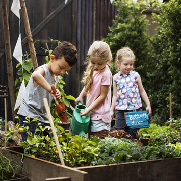 Gardening