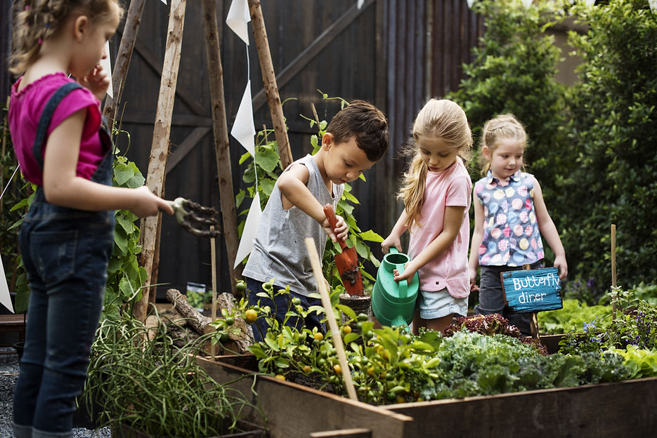 Children in the allotment on outing with childminders The Wonder Years Bromley