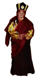 Screenshot (99)_edited_edited_edited.png