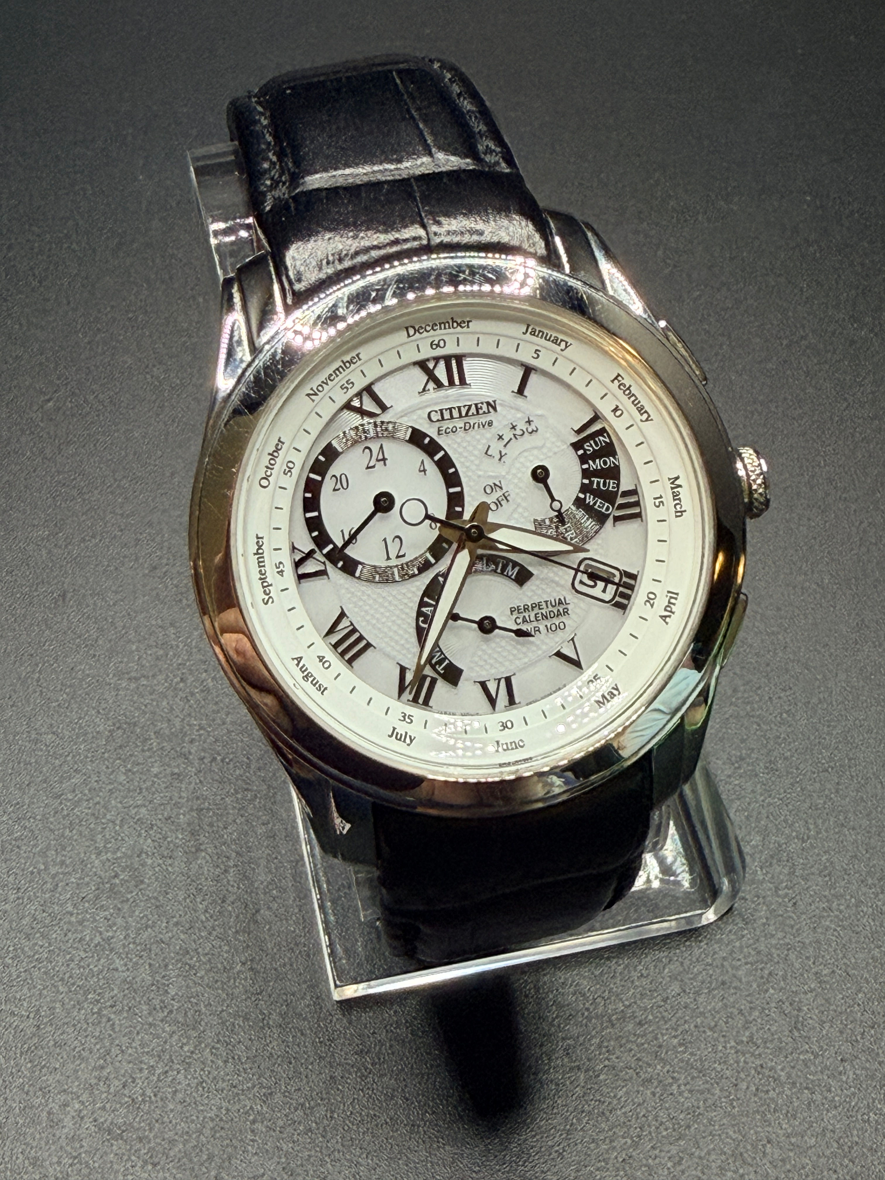 Citizen EcoDrive Perpetual Calendar