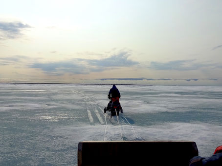 Seal Hunting
