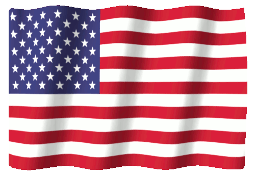 U.S. FLAG 50ab.gif
