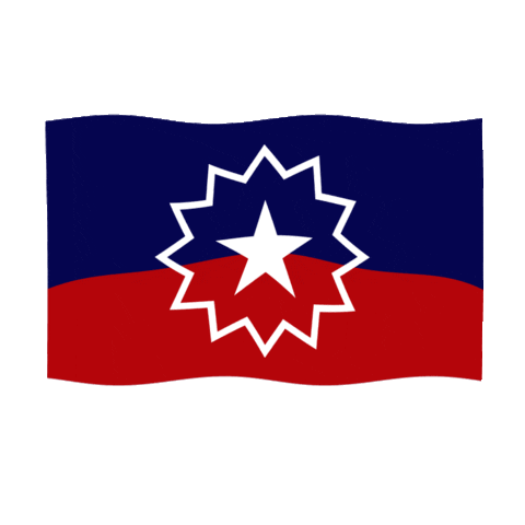 JUNTEENTH FLAG 2ab.gif