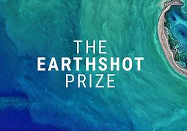 EARTHSHOT PRIZE 4a.jpg