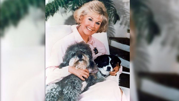 DORIS DAY ANIMAL FOUNDATION 5.jpg