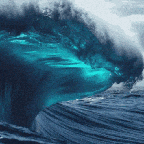WORLD OCEANS DAY 2024 1ab.gif