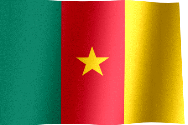 FLAG OF CAMEROON 1ab.gif