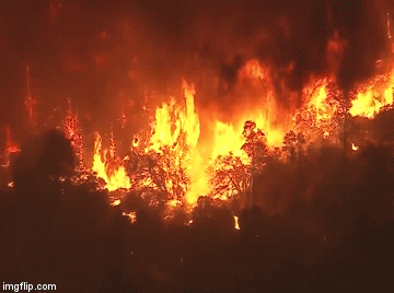 CALIFORNIA WILDFIRES 1.2025 5b.webp