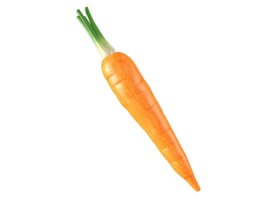CARROT 1a.gif