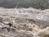 FLOOD 1ab.gif