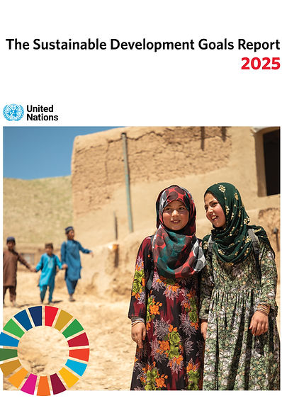 SUSTAINABLE DEVELOPMENT REPORT 2025 1ab.jpg
