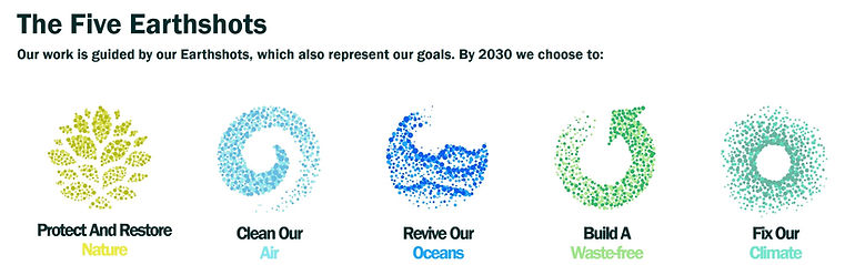 The Earthshot Prize the five goals.jpg