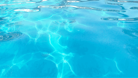 WORLD WATER DAY 2024 2ab.gif