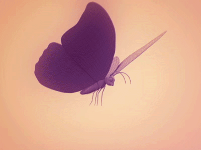 PURPLE BUTTERFLY 2ab.gif