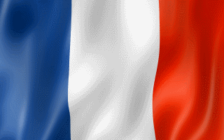 FLAG OF FRANCE WAVING 1ab.gif