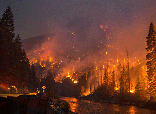 CALIFORNIA WILDFIRES 1.2025 2ab.gif