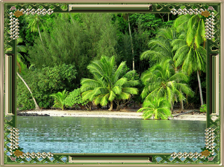 BIO DIVERSITY DAY 3ab.gif