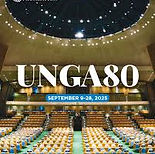unga 80 3ab.jpg