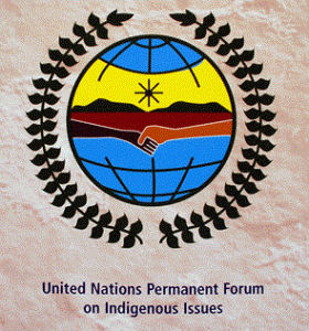 UN PERMANENT FORUM ON INDIGENOUS ISSUES.gif