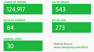 124,917 litres of water, 84 sq. m of forest, 543 kg of grain, 273 kg of CO2, 30 animal lives