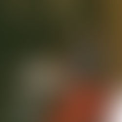 Benton Turns Emotional Chaos Into a Neon-Lit Dance Floor on 'Animals'