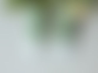 Eco-Friendly Cannabis Brands to Support This 4/20