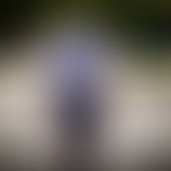 Independent Artist PATH P Drop Much-Anticipated LP “Revolution & Legacy, Volume II: The Legacy”