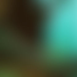 Omar Jaber’s Positive Outlook on Life Fuels Desire to Inspire