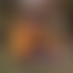 A Window into the Real Rediisin is Illuminated Throughout Album, 'The Vision'