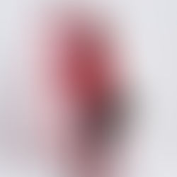 Lady Raw Shows Us What She’s Got In, “Say So Reloaded”