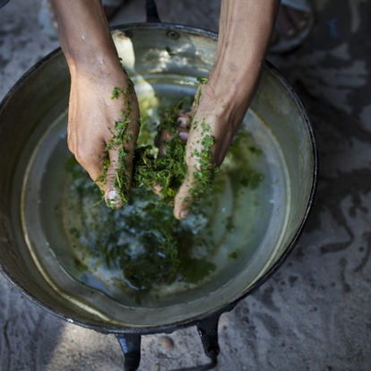 Kratom Extract For Sale At MitraMan Botanicals—A Brand Built On Reliability