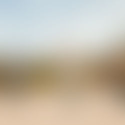 Get Lost in the Warm Melodies Behind Petric's Latest Anthem, "All Who Wander"